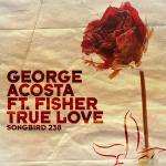 Cover: George Acosta feat. Fisher - True Love (Radio Edit)