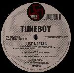 Cover: Tuneboy - Just A Detail