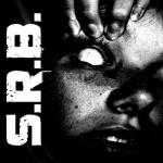 Cover: SRB - Rise Again