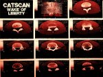 Cover: Catscan - Wake Of Liberty