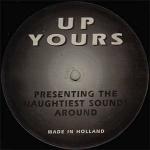 Cover: Vinylgroover - Raving I'm Raving