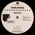Cover: Sunloverz - Survive
