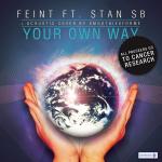 Cover: Feint - Your Own Way
