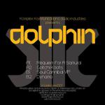 Cover: Dolphin - Goitchi Koots