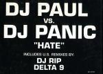 Cover: DJ Paul Vs. DJ Panic - Is This The Future