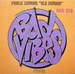 Cover: Public Domain - The Puritan (The Voice Mix)