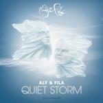 Cover: Aly & Fila ft. Sue McLaren - Quiet Storm