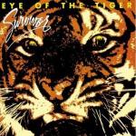 Cover:  - Eye Of The Tiger