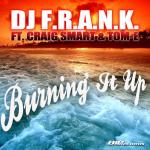 Cover: DJ F.R.A.N.K. - Burning It Up