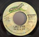 Cover: Simon - You're So Vain