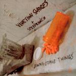 Cover: Venetian Snares &amp; Speedranch - We Hate Russel