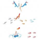 Cover: Matt Kivel - Rainbow Trout