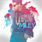 Cover: DJ Holiday feat. Waka Flocka & Wiz Khalifa - Miley