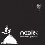 Cover: Neelix - Little Stevie