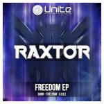 Cover: Raxtor - V.I.B.E