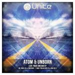 Cover: Atom &amp; Unborn feat. MC DL - Take You Alive