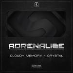 Cover: Adrenalize - Cloudy Memory