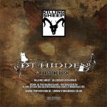 Cover: DJ Hidden - Past The Flesh