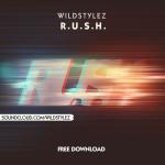 Cover: Wildstylez - R.U.S.H.