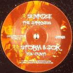 Cover: Sunrize - The Darkness