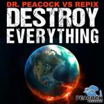 Cover: Dr. Peacock vs Repix - Endless