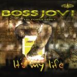 Cover: Javi Boss - It's My Life (Javi Boss Remix)