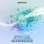 Cover: Deetox - Headknocker