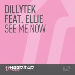 Cover: Dillytek - See Me Now