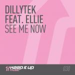 Cover: Dillytek - See Me Now
