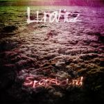 Cover: Lunaticz - Space Bound