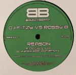 Cover: DJ Fitzy vs. Rossy B - Reason