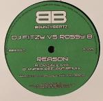 Cover: DJ Fitzy vs. Rossy B - Reason