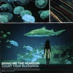 Cover: Bring Me the Horizon - Pray For Plagues