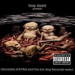 Cover: Limp Bizkit - Take A Look Around