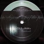 Cover: DJ Hidden - Wastelands