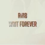 Cover: Avi8 - Wait Forever