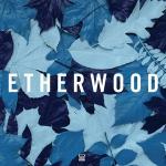 Cover: Etherwood feat. S.P.Y - We're Nothing Without Love
