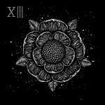 Cover: Sworn In - XIII