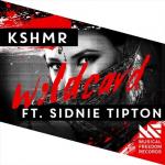 Cover: KSHMR - Wildcard