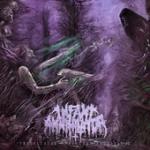 Cover: Infant Annihilator - Decapitation Fornication