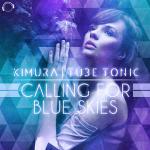 Cover: Tube Tonic - Calling for Blue Skies (Original Edit)