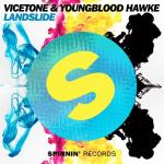 Cover: Vicetone - Landslide