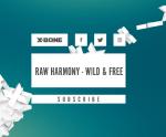 Cover: Raw Harmony - Wild & Free