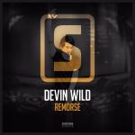 Cover: Devin Wild - Remorse
