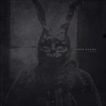 Cover: Donnie Darko - A Storm Is Coming