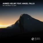 Cover: Angel Falls - No Words To Say