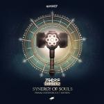 Cover: Bass Chaserz - Synergy Of Souls (Primal Outdoor 2017 Anthem)