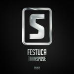 Cover: Festuca - Transpose