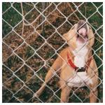 Cover: Knocked Loose - All My Friends