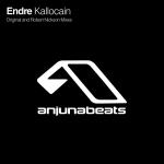 Cover: Endre - Kallocain (Robert Nickson Remix)